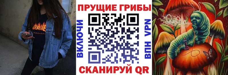 Галлюциногенные грибы мухоморы  гидра онион  Алдан 
